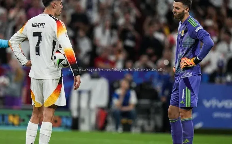 意昂体育官网注册雷柏科技