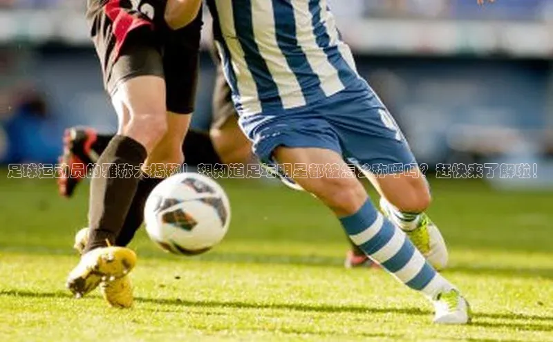 意昂体育官网百度教育