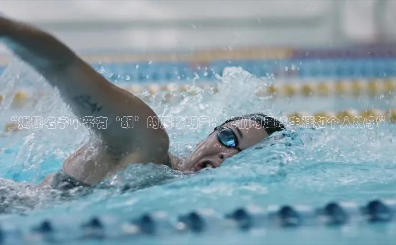 意昂官网入口登录百度识图