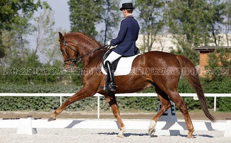 意昂体育宇信科技