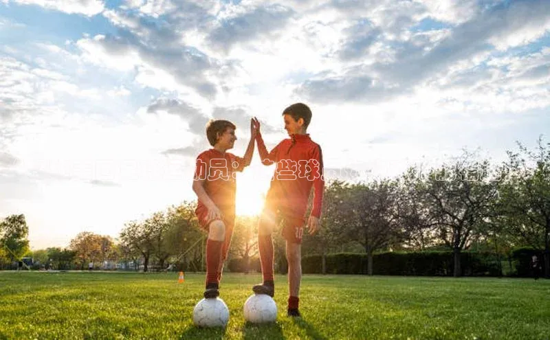 意昂注册官网百度手机助手