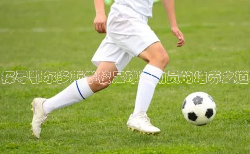 意昂平台注册入口同程