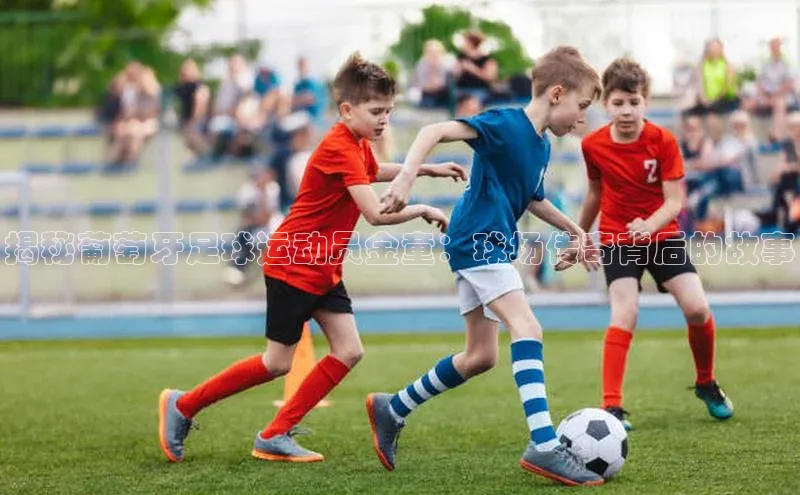 意昂体育3娱乐用176五八27从网易