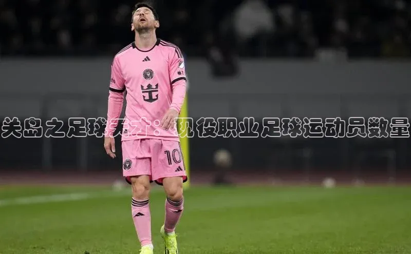 意昂体育平台APP度小满支付