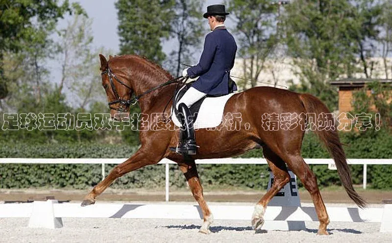 意昂体育平台APP度小满支付