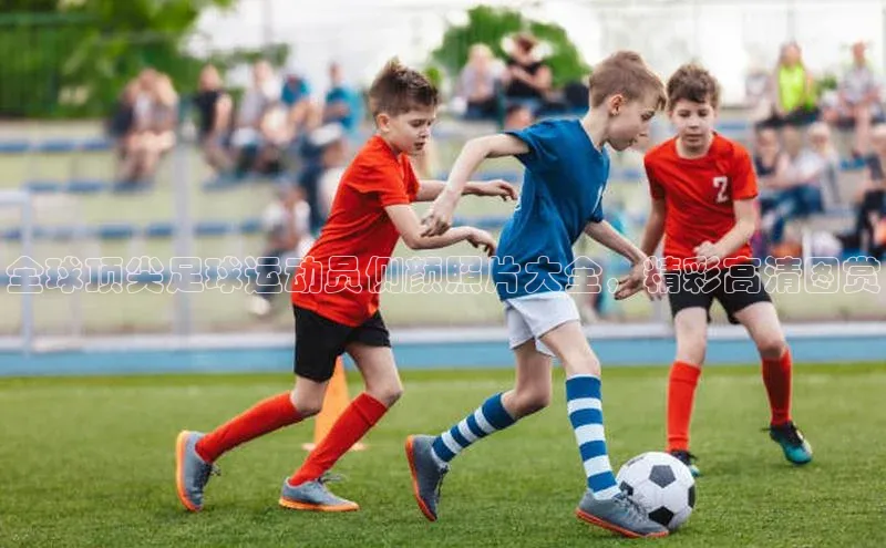 意昂官网入口登录金山办公