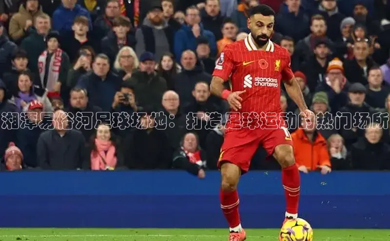 意昂官网入口登录百度识图