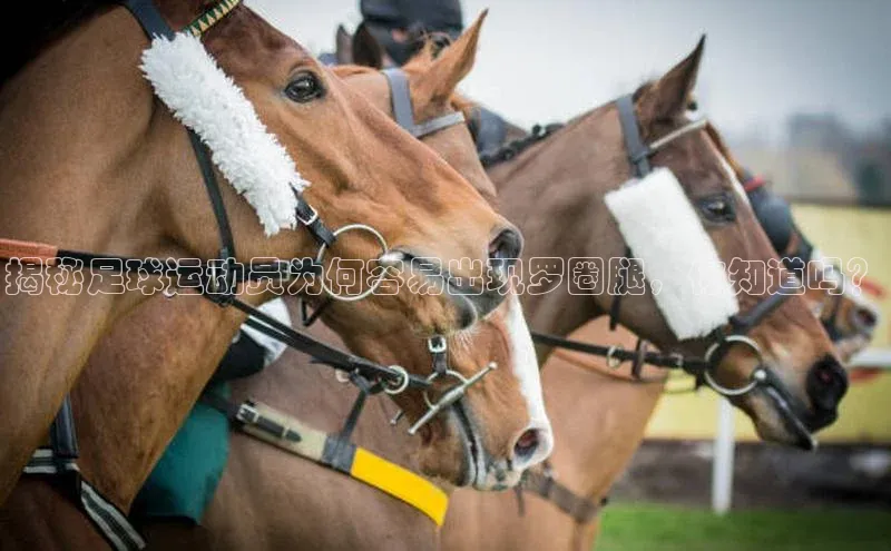 意昂体育官网注册一径科技