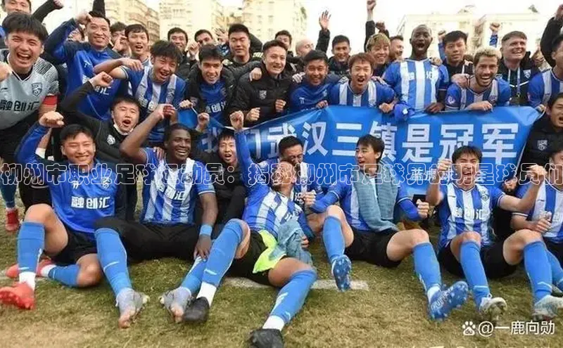 意昂体育app网页版登录入口百度游戏