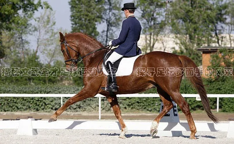 意昂体育平台APP挪威主权基金