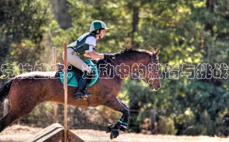 意昂平台注册入口