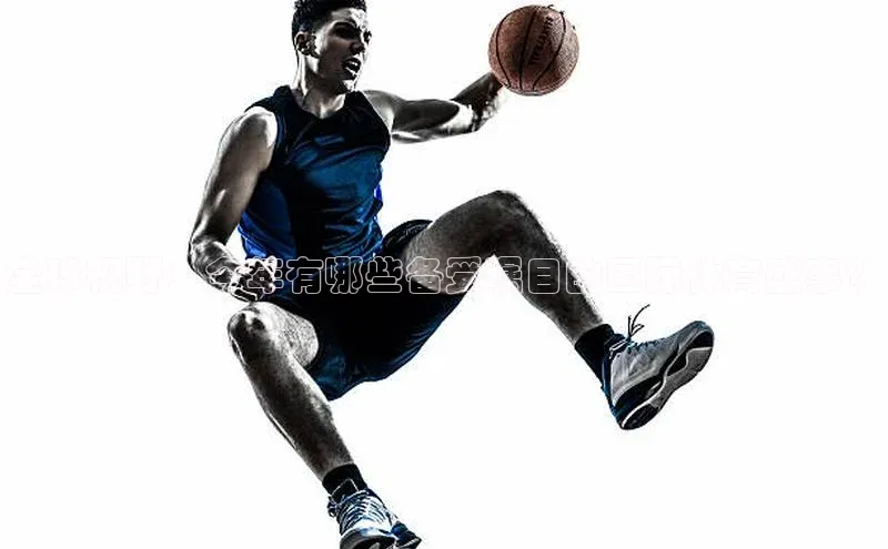 意昂体育平台APP